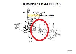 TERMOSTAT DFM RICH