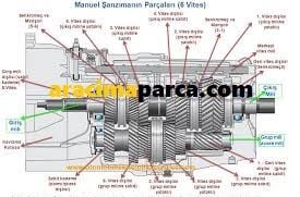 ŞANZUMAN MİLİ SUCCE